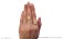 Cardcaptor Sakura: Clear Card Chain Ring Sakura Kinomoto (Anime Toy) その他の画像2 Thumbnail