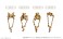 Cardcaptor Sakura: Clear Card Chain Ring Sakura Kinomoto (Anime Toy) その他の画像1 Thumbnail