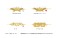 Cardcaptor Sakura: Clear Card Favorite Bracelet Crown Cork & Wing / Rocket Beat Ver. (Anime Toy) その他の画像1 Thumbnail