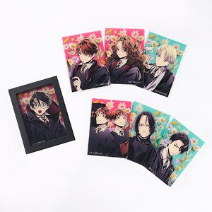 Harry Potter Acrylic & Frame Magnet Set (Anime Toy)