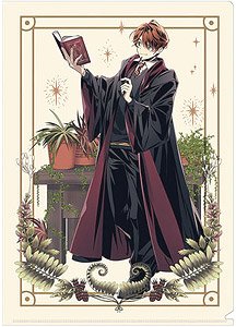 Harry Potter Clear File Ron Weasley (Anime Toy)
