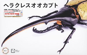 いきもの編 ヘラクレスオオカブト モリナガ・ヨウ氏 解説・説明書仕様 (プラモデル)
