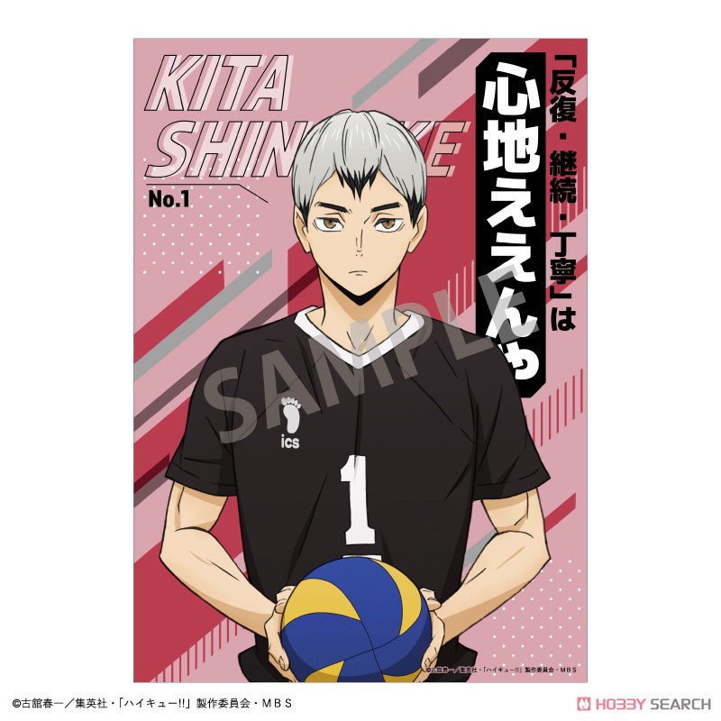 ハイキュー!! A5トレーディングポスター (12個セット) (キャラクターグッズ) 商品画像11
