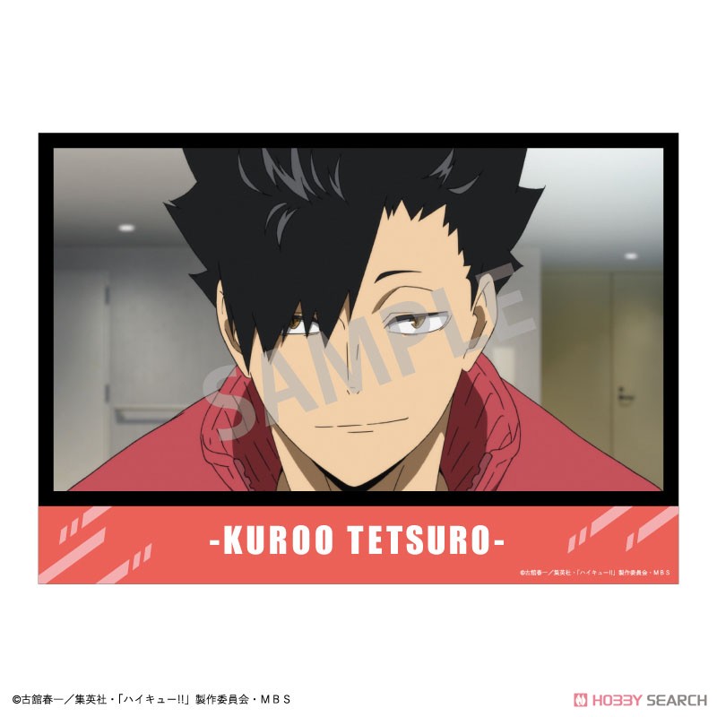 ハイキュー!! A5トレーディングポスター (12個セット) (キャラクターグッズ) 商品画像17 モーダル
