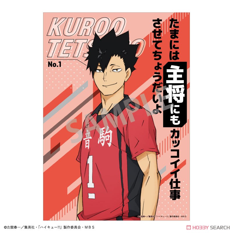 ハイキュー!! A5トレーディングポスター (12個セット) (キャラクターグッズ) 商品画像5