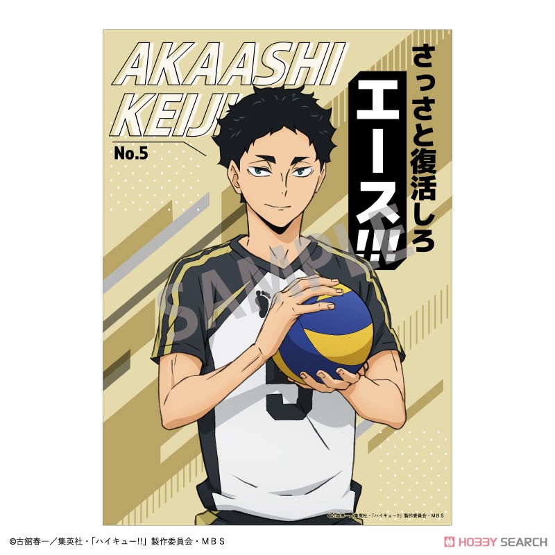 ハイキュー!! A5トレーディングポスター (12個セット) (キャラクターグッズ) 商品画像8