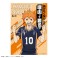 ハイキュー!! A5トレーディングポスター (12個セット) (キャラクターグッズ) 商品画像1 サムネイル
