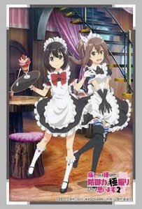 Bushiroad Sleeve Collection HG Vol.3733 [Bofuri: I Don`t Want to Get Hurt, so I`ll Max Out My Defense. 2] Maid Ver. (Card Sleeve)