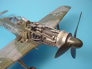 Fw 190D Gun Day (for Hasegawa) (Plastic model)