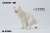 JXKスタジオ 1/12 柴犬 ハーフスクワット A2 (ドール) 商品画像1