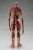 Pop Up Parade Armin Arlert: Colossus Titan Ver. L Size (PVC Figure) Item picture2