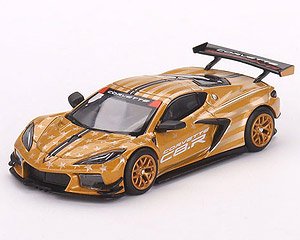 Chevrolet Corvette C8.R Stars & Stripes 2023 Gold Silver Mijo Exclusives (LHD) (Diecast Car)