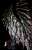 【銀行振込前入金】 幻の究極造形 CCP×大山竜 ガメラ3(1999) 彩色版 (完成品) 商品画像3