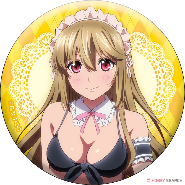 ストライク・ザ・ブラッド FINAL 描き下ろし缶バッジセット (キャラクターグッズ) 商品画像3