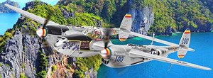 ロッキード P-38L ライトニング パット・パット・マル 1945 (完成品飛行機)