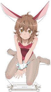 Is It Wrong to Try to Pick Up Girls in a Dungeon? IV Acrylic Chara Stand C [Lili Ruka] (Anime Toy)