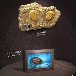 Star Ace Toys Trilobita & Fossil Replica (Completed)