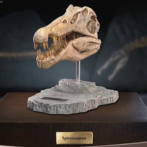 スターエーストイズ スピノサウルス ヘッドスカル レプリカ (完成品)