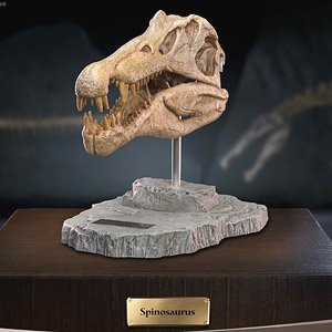 Star Ace Toys Spinosaurus Head Skull Replica (Completed)