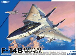 US Navy F-14B Tomcat (Plastic model)