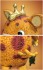HAF Booska (Completed) 商品画像7 Thumbnail