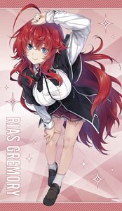 「ハイスクールD×D」 特大タペストリー (キャラクターグッズ)