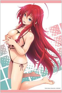 「ハイスクールD×D」 B2タペストリー 【A】 (キャラクターグッズ)