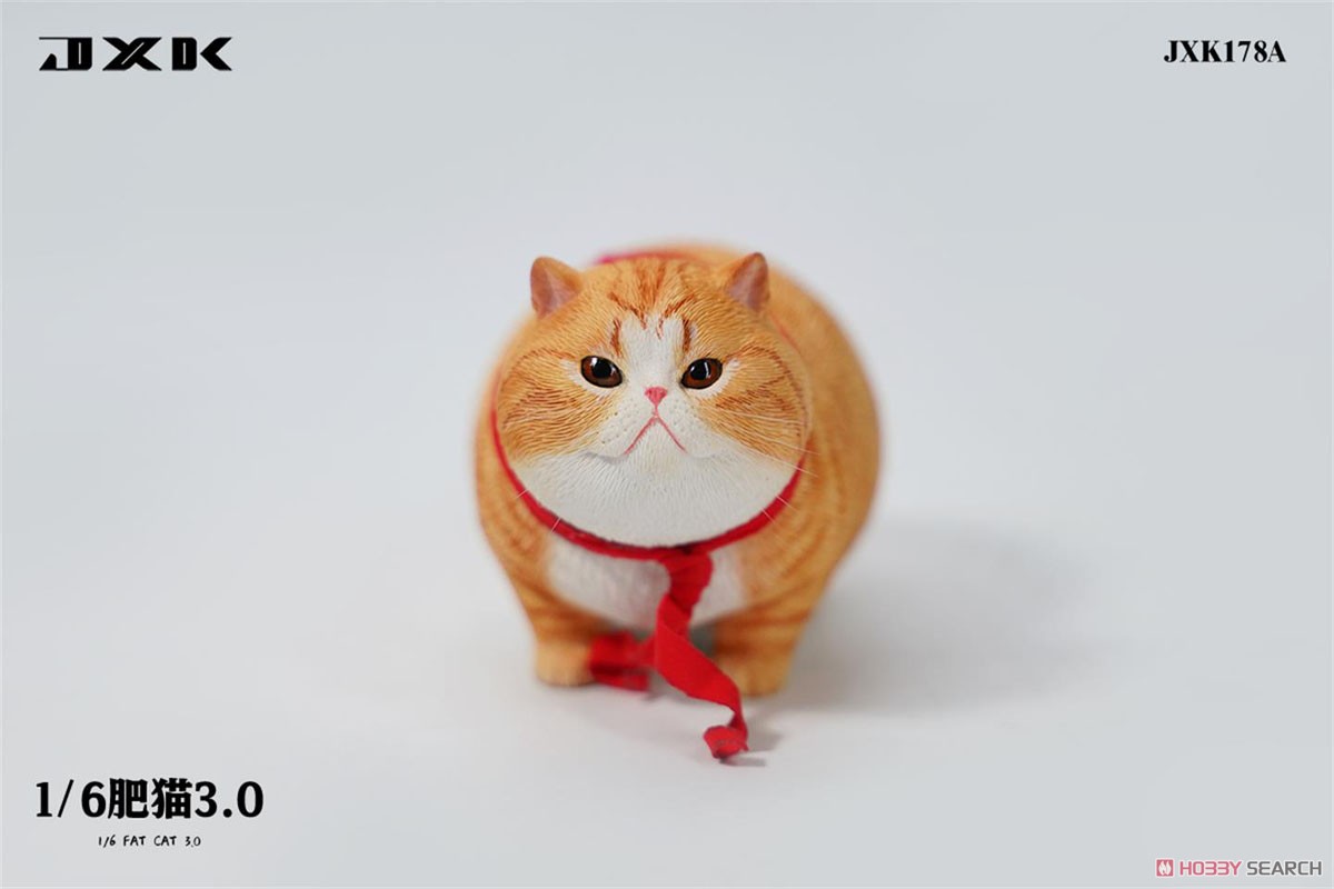 JXK Studio 1/6 Fat Cat 3.0 A (Fashion Doll) 商品画像2