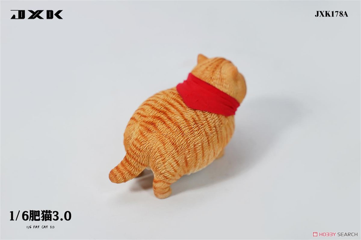 JXK Studio 1/6 Fat Cat 3.0 A (Fashion Doll) 商品画像4