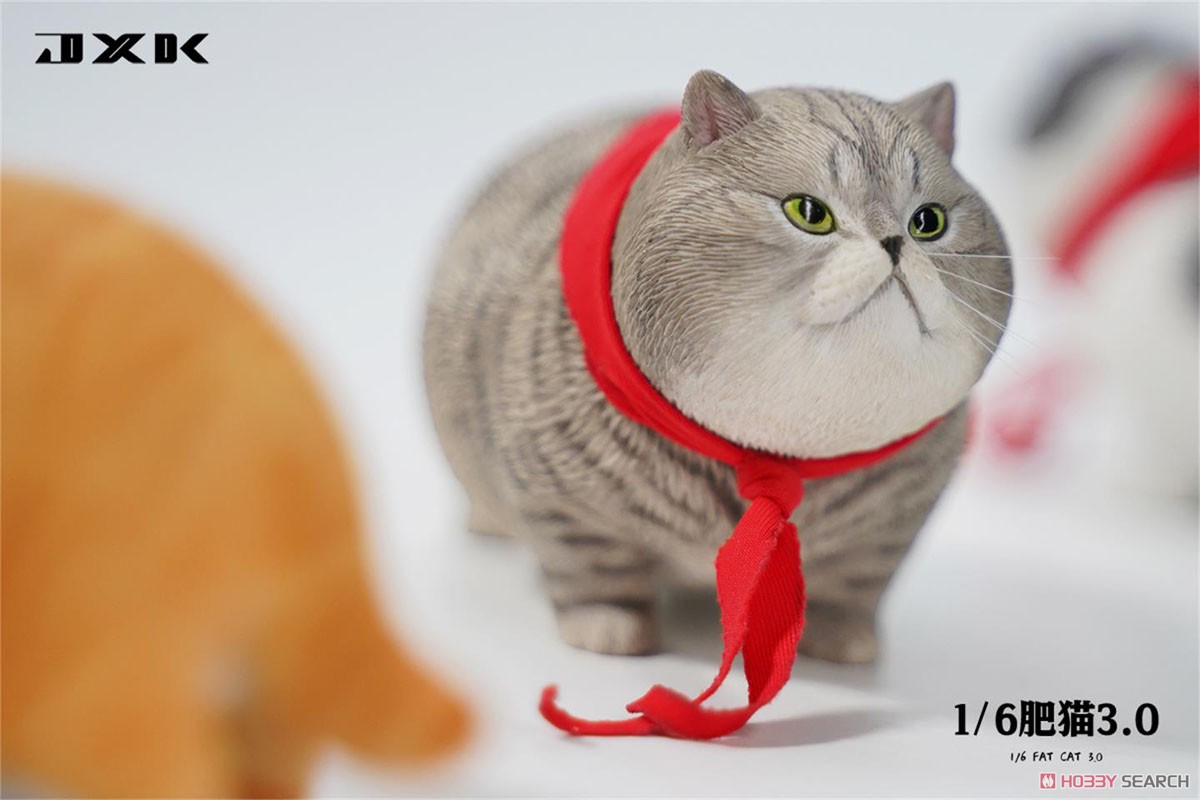 JXK Studio 1/6 Fat Cat 3.0 A (Fashion Doll) その他の画像2