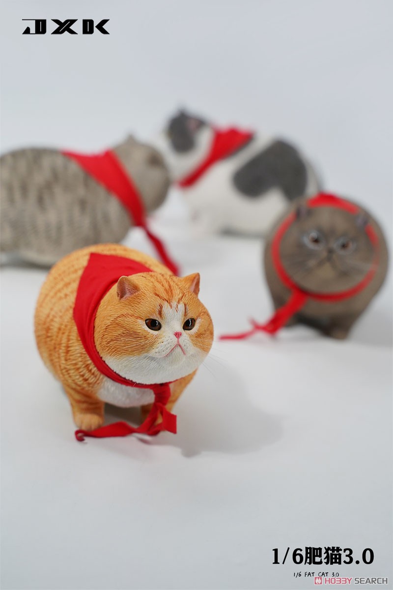 JXK Studio 1/6 Fat Cat 3.0 A (Fashion Doll) その他の画像8