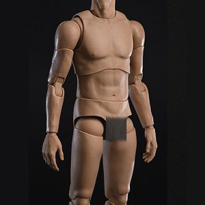 ワールドボックス 1/6 男性素体 アジア (ドール)
