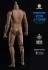 ワールドボックス 1/6 男性素体 アジア (ドール) 商品画像7 サムネイル