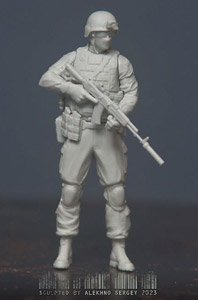 Officer of the Security Service of Ukraine (Plastic model)