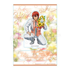 Yowamushi Pedal Limit Break Acrylic Stand Birthday Flower 2 Hayato Shinkai  (Anime Toy) - HobbySearch Anime Goods Store