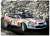 Toyota Celica GT-FOUR ST205 1995 Monte Carlo Rally (Model Car) Other picture1