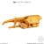 ミニプラ シュゴッド合体シリーズ04 キングコーカサスカブト ＆ ガーディアンヘラクレス (10個セット) (食玩) 商品画像3