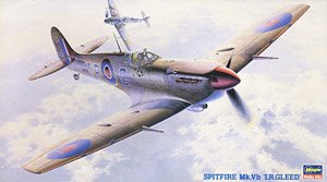 Spitfire Mk.Vb `I.R.Gleed` (Plastic model)