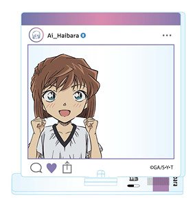 名探偵コナン フォトキャラグラファー 灰原哀 (キャラクターグッズ)