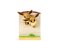 ポケットモンスター ぴょこっと おかえり！コレクション (6個セット) (キャラクターグッズ) 商品画像3 サムネイル