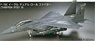 F-15E Eagle Dual Role Fighter (Plastic model)