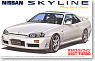 R34 Skyline 25GT Turbo `98 (Model Car)