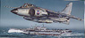 Sea Harrier `Falkland` (Plastic model)