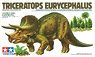Triceratops Eurycephalus (Plastic model)