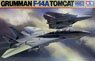 Grumman F-14A Tomcat Version 1994 (Plastic model)