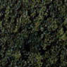 コースターフ 暗緑色 (鉄道模型)