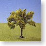 The Broadleaf Tree (1pc.) (Model Train)