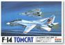 F-14 Tomcat (Plastic model)