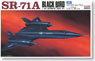 SR-71A Black Bird Reckon (Plastic model)