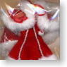 Santa Dress (Fashion Doll)